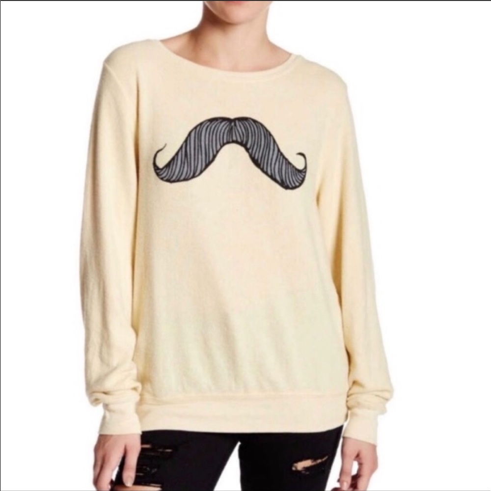 Wildfox sweatshirt